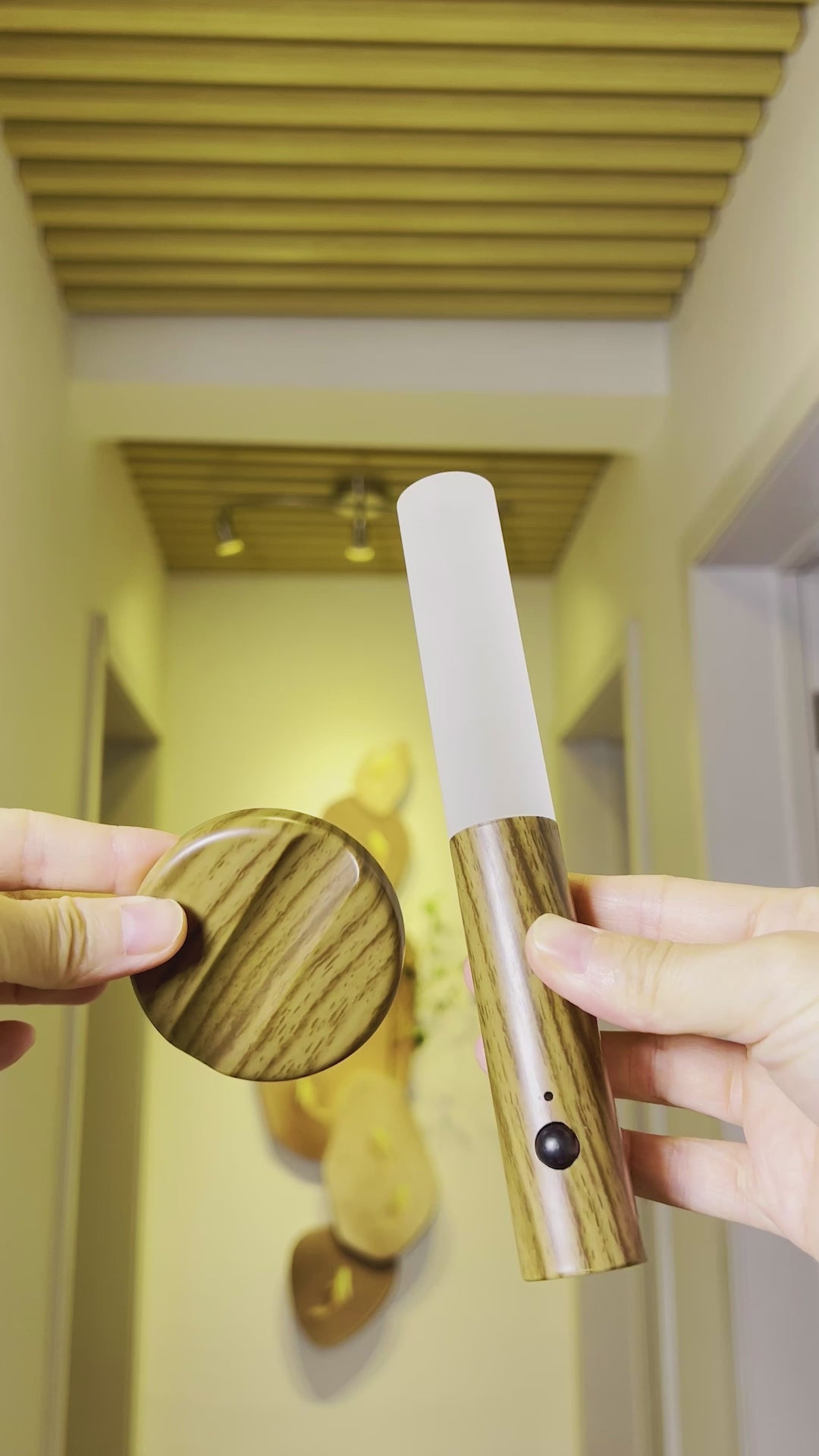 Halo Intelligent Induction Light